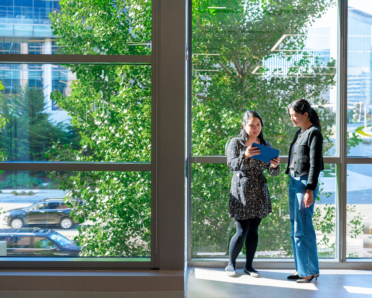 Kardigan_Web_Slider_11