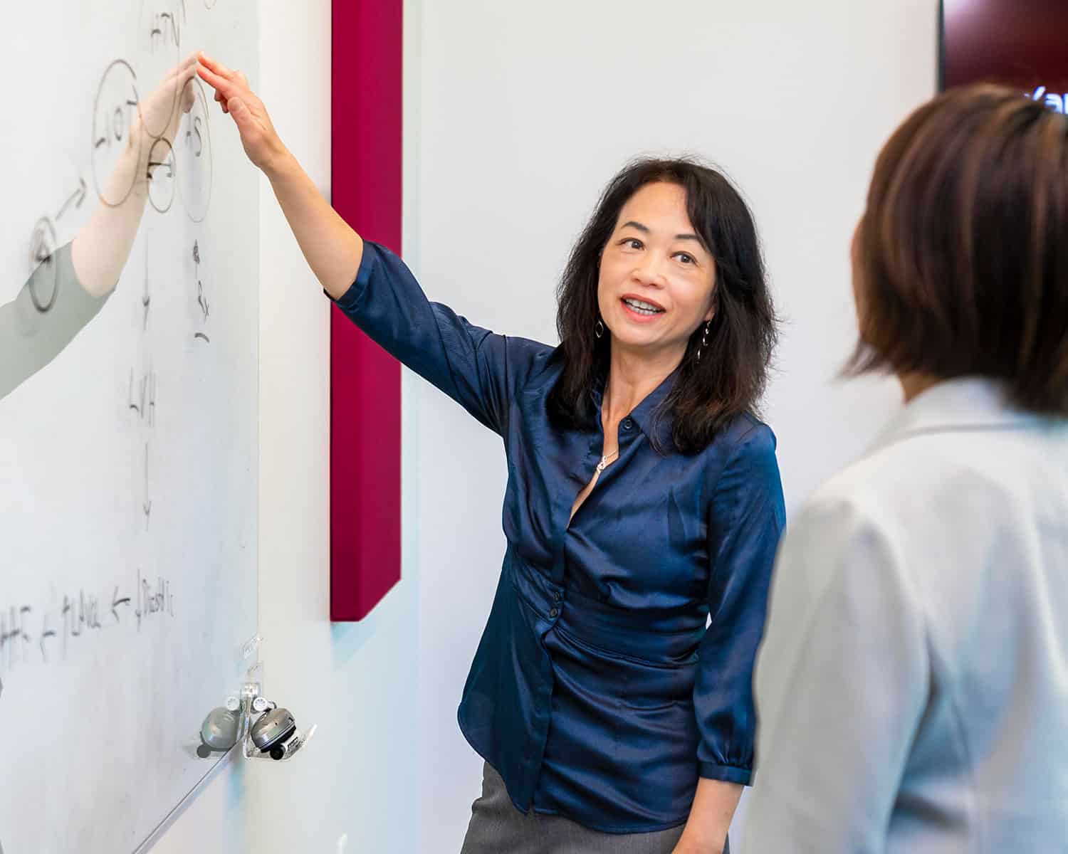 Kardigan_Web_Slider_3